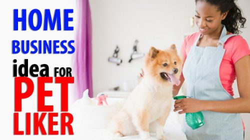 Home Business Thoughts or Ideas for Pet Likers, Lovers